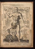 Female anatomy, Johann Remmelin's <i>Catoptrum microcosmicum</i>, first published in 1619.