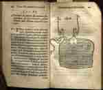 Swammerdam illustration of appartus