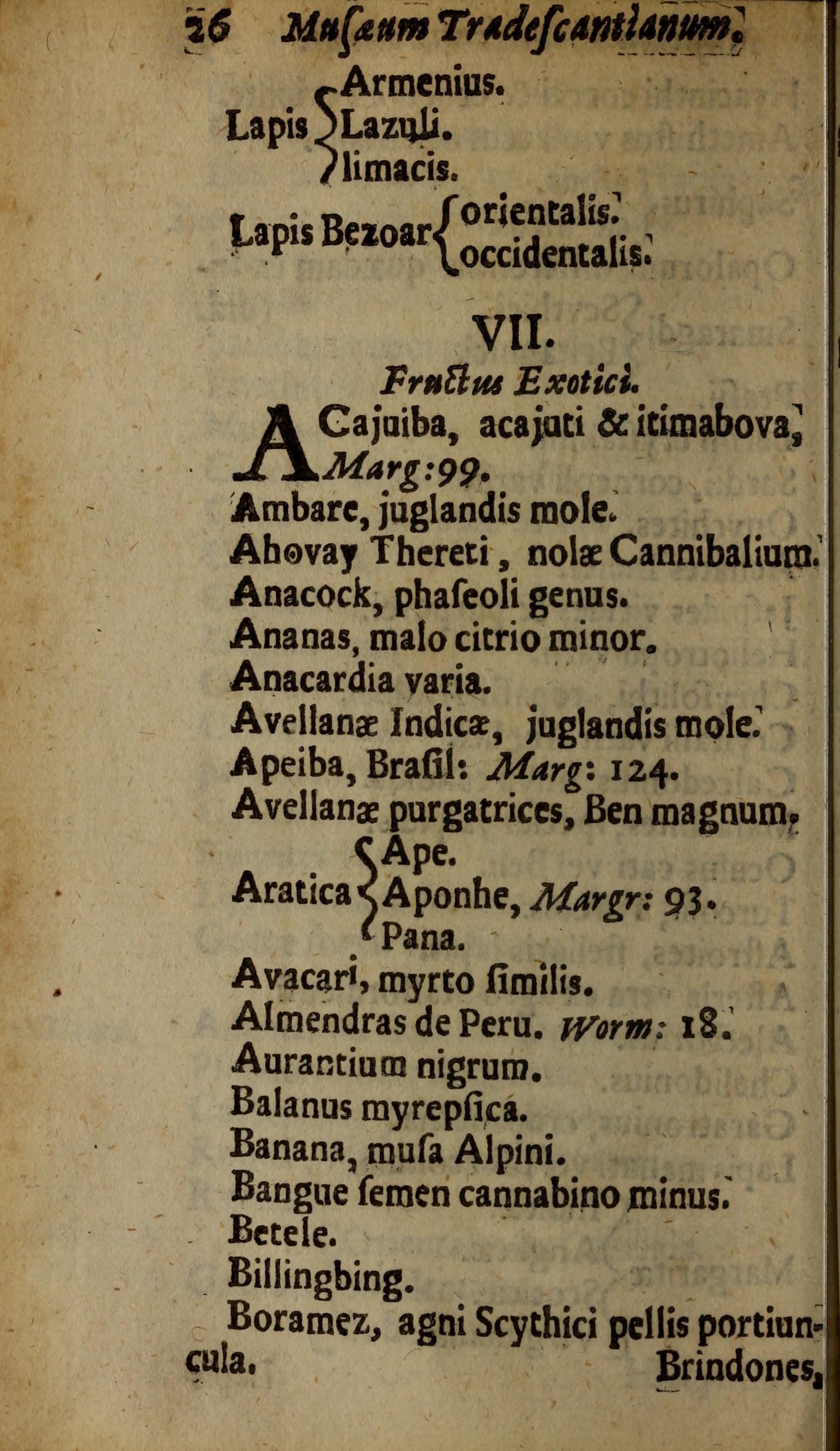 Musaeum Tradescantianum (1656)