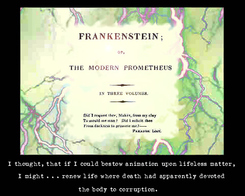 Enter the Frankenstein Hypertext Resource
